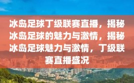 冰岛足球丁级联赛直播，揭秘冰岛足球的魅力与激情，揭秘冰岛足球魅力与激情，丁级联赛直播盛况