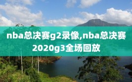 nba总决赛g2录像,nba总决赛2020g3全场回放