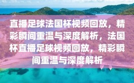 直播足球法国杯视频回放，精彩瞬间重温与深度解析，法国杯直播足球视频回放，精彩瞬间重温与深度解析