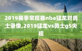 2019赛季常规赛nba猛龙对勇士录像,2019猛龙vs勇士g5央视