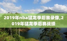 2019年nba猛龙季后赛录像,2019年猛龙季后赛战绩