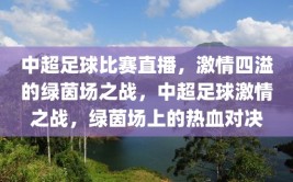 中超足球比赛直播，激情四溢的绿茵场之战，中超足球激情之战，绿茵场上的热血对决