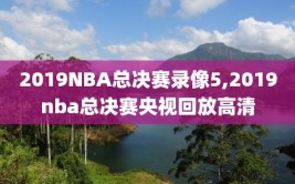 2019NBA总决赛录像5,2019nba总决赛央视回放高清