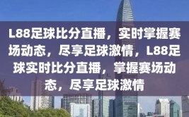 L88足球比分直播，实时掌握赛场动态，尽享足球激情，L88足球实时比分直播，掌握赛场动态，尽享足球激情