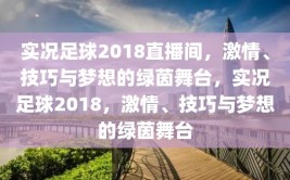 实况足球2018直播间，激情、技巧与梦想的绿茵舞台，实况足球2018，激情、技巧与梦想的绿茵舞台