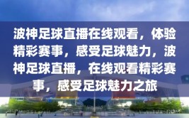 波神足球直播在线观看，体验精彩赛事，感受足球魅力，波神足球直播，在线观看精彩赛事，感受足球魅力之旅