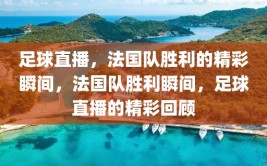 足球直播，法国队胜利的精彩瞬间，法国队胜利瞬间，足球直播的精彩回顾