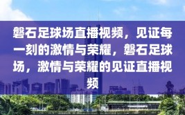 磐石足球场直播视频，见证每一刻的激情与荣耀，磐石足球场，激情与荣耀的见证直播视频