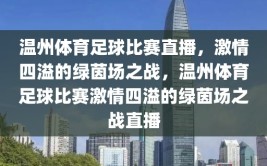 温州体育足球比赛直播，激情四溢的绿茵场之战，温州体育足球比赛激情四溢的绿茵场之战直播