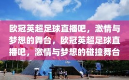 欧冠英超足球直播吧，激情与梦想的舞台，欧冠英超足球直播吧，激情与梦想的碰撞舞台