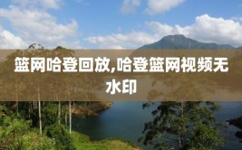 篮网哈登回放,哈登篮网视频无水印