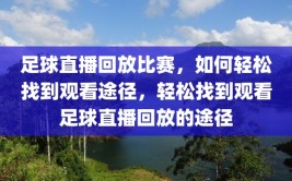 足球直播回放比赛，如何轻松找到观看途径，轻松找到观看足球直播回放的途径