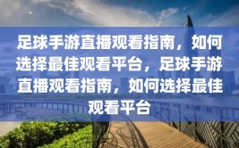 足球手游直播观看指南，如何选择最佳观看平台，足球手游直播观看指南，如何选择最佳观看平台