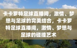 卡卡罗特足球直播间，激情、梦想与足球的完美结合，卡卡罗特足球直播间，激情、梦想与足球的碰撞艺术