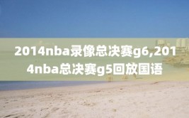 2014nba录像总决赛g6,2014nba总决赛g5回放国语