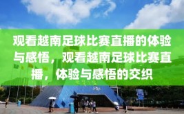 观看越南足球比赛直播的体验与感悟，观看越南足球比赛直播，体验与感悟的交织